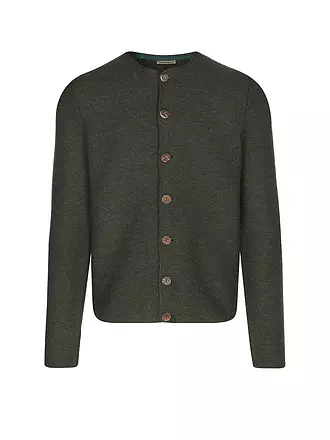 GOTTSEIDANK | Gilet traditionnel en tricot ALOISIUS | grün